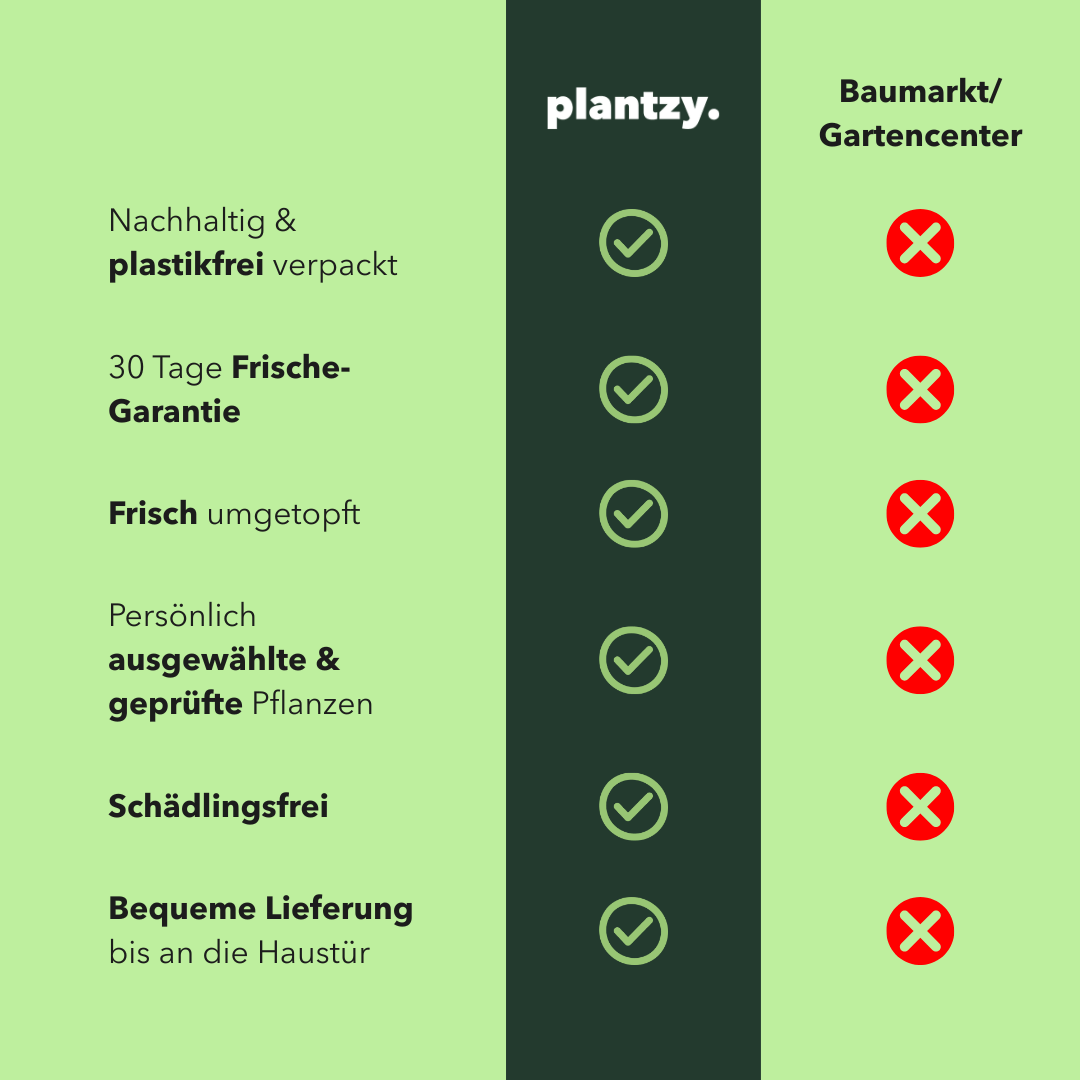Plantzy Vorteile